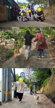 2025. 4. 19. 멘토링